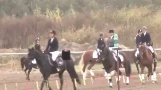 Конная школа НИУ БелГУ