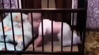 Гениальный побег