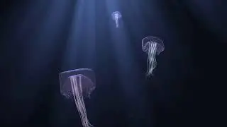 Sea scene process