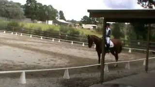 Tarah and Jasmine Dressage at Wyena CT