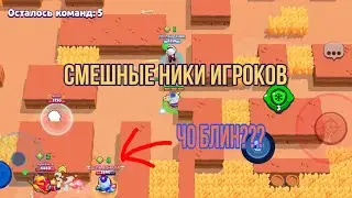 СМЕШНЫЕ НИКИ ИГРОКОВ в BRAWL STARS