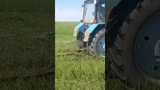 Сенокос опять буксуем, встряли с жаткой Дон-мар в лимане.