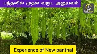 பந்தலில் முதல் வருட அனுபவம்  Experience of New panthal