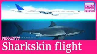ANA flies first sharkskin-inspired coating