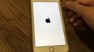 Apple iPhone 6s Plus Startup and Shutdown