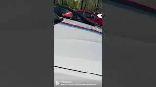 Конец бедной жизни!! Птица обосрала