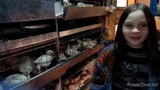 Прививка от короновируса, все за и против! Проблемы со скорой помощью, пока дождёшься....
