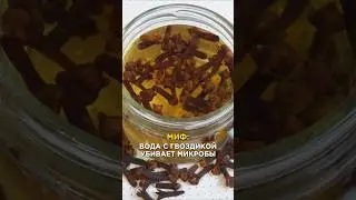 Вода с гвоздикой обеззараживает МИКРОБЫ?
