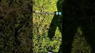 FAR➡️ CRY😭3🗣️REFERENC111🔥 #2024 #fypシ #врек #gengleb