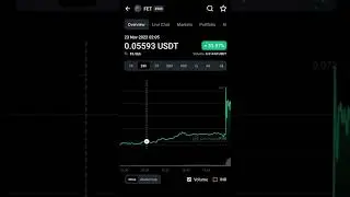 Fetch.ai FET token crypto coin 