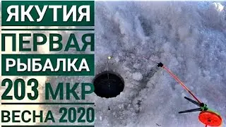 Fishing in Yakutia | 203rd microdistrict | Spring 2020