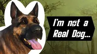 Mystery of Dogmeat's Origin Solved