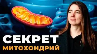 Почему вы ПРОСЫПАЕТЕСЬ УСТАВШИМИ? Всему виной это митохондрии!