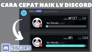 How to Quickly Raise Discord Level, on bots (MEE6, Tatsu, Koya etc.) - Ko Tutorial