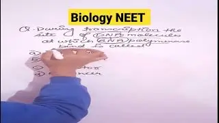 🔥Molecular basis of inheritance|NEET Competitive MCQs|Previous year most important question #shorts