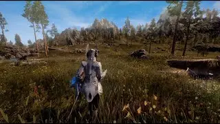 I have Modded my Skyrim SE to look like 2021 Next Generation Game | Mod list included
