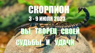 СКОРПИОН 🦂. 3 - 9 июля 2023 год. Тароскоп.