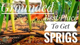 Grounded Best Place To Get Sprigs