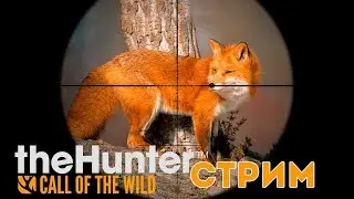 thehunter: call of the wild. Стрим №3