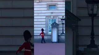 Guard 💂‍♀️ #shorts #shortsyoutube #shortsvideo #shortvideo #youtubeshorts #youtube #london #guard