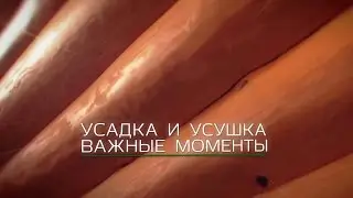 Строительство деревянных домов. Усушка и усадка.