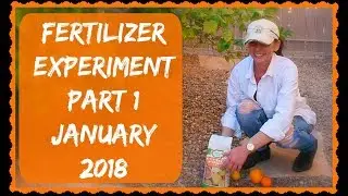 Citrus Tree Fertilizer - Part 1 Of Many - Grapefruit & Orange Tree Care