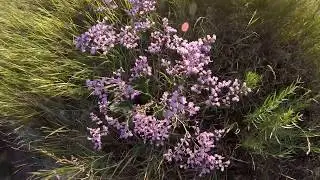 Аркаим