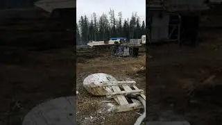 Куюмба 103 куст