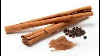 Intro to Cinnamon Bark Essential Oil