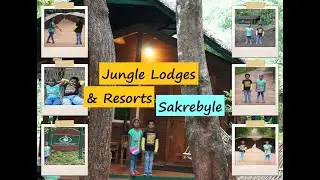 Jungle lodges & resorts | Sakrebyle | Shivamogga | Karnataka | Famous Resorts in Karnataka