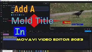 Add A Meld Title In Movavi Video Editor 2023