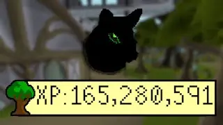 Unforeseen 1,000 Hour Grind For This Beauty
