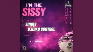 B.N.W.O Control