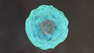 No Copyright Videos -Virus - Free 4K 3D Visualization Video Footage of Virus - No Copyright Zone