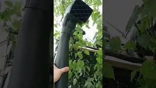 Купил шноркель на уаз😎
