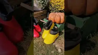 Галоши женские из ЭВА от бренда Smile of Milady