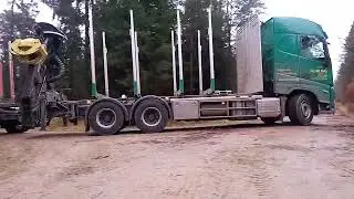 Wenn das Holz ruft