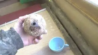 Перетаскиваю гараж и разговор с другом об аккомуляторах.