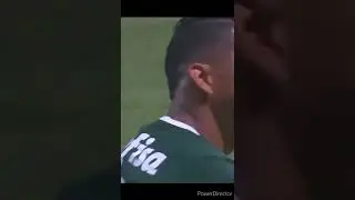 Que golazo !!! 