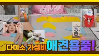 한 번쯤 사볼 만한 다이소 가성비 애견용품 리뷰! 🤣🐶 [딸기티비]