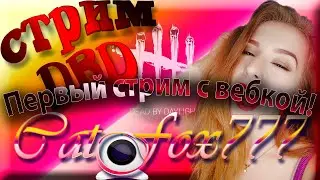 😻Первый стрим с вебкой!✨ Урааа! ✨✨Наконец-то, Кисе и Кисам спасибо!!! 😻МРРР