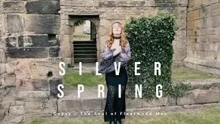 Fleetwood Mac - Silver Springs - Cover