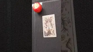 🧚‍♂️💚 Подарок от судьбы в ближайшее время 💚🧚‍♂️