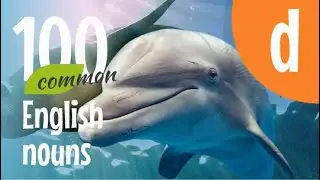 100 ENGLISH Nouns - Some of the Most Common Words in English that Begin with the Letter 'D'
