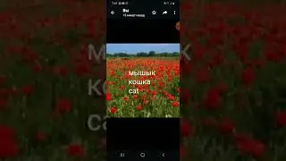 Кыргыз тилин бат үйрөнүү 