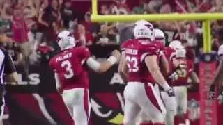 Carson Palmer 2014 Highlights