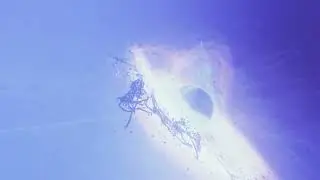 A clip from my first video game i am working on. Limiting scope may not be my strongpoint...