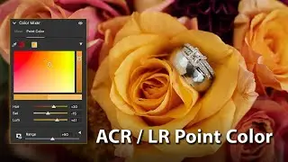 How to use the new Point Color tool in ACR