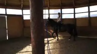 Кокетка. Рысь.