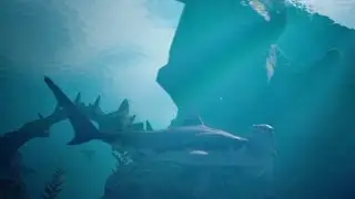 Infinite Blue: an immersive ocean Eco-Sim (Free on Steam / PC)